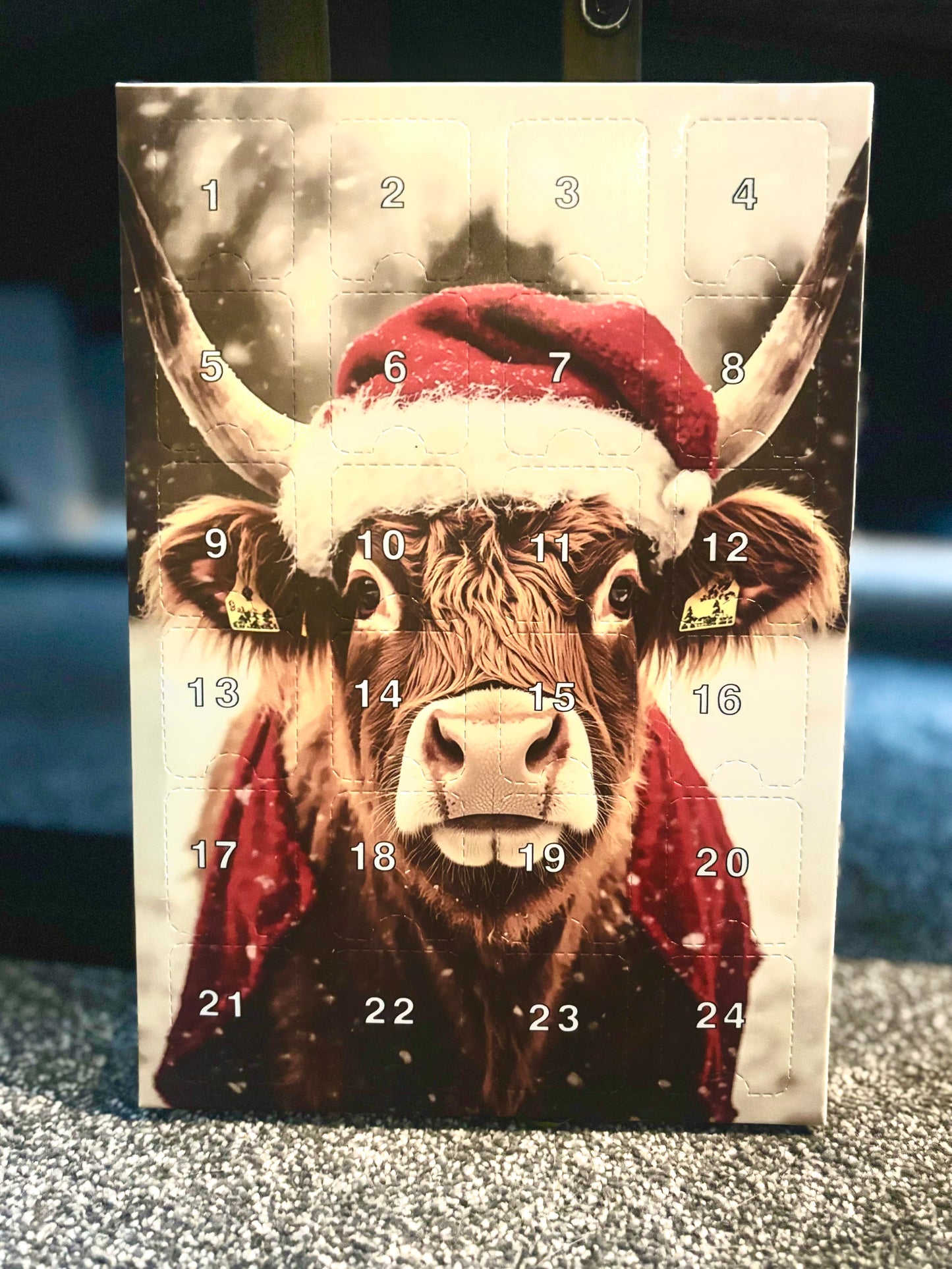 Highland Cow Advent Calendar – nosettrends Christmas Collection